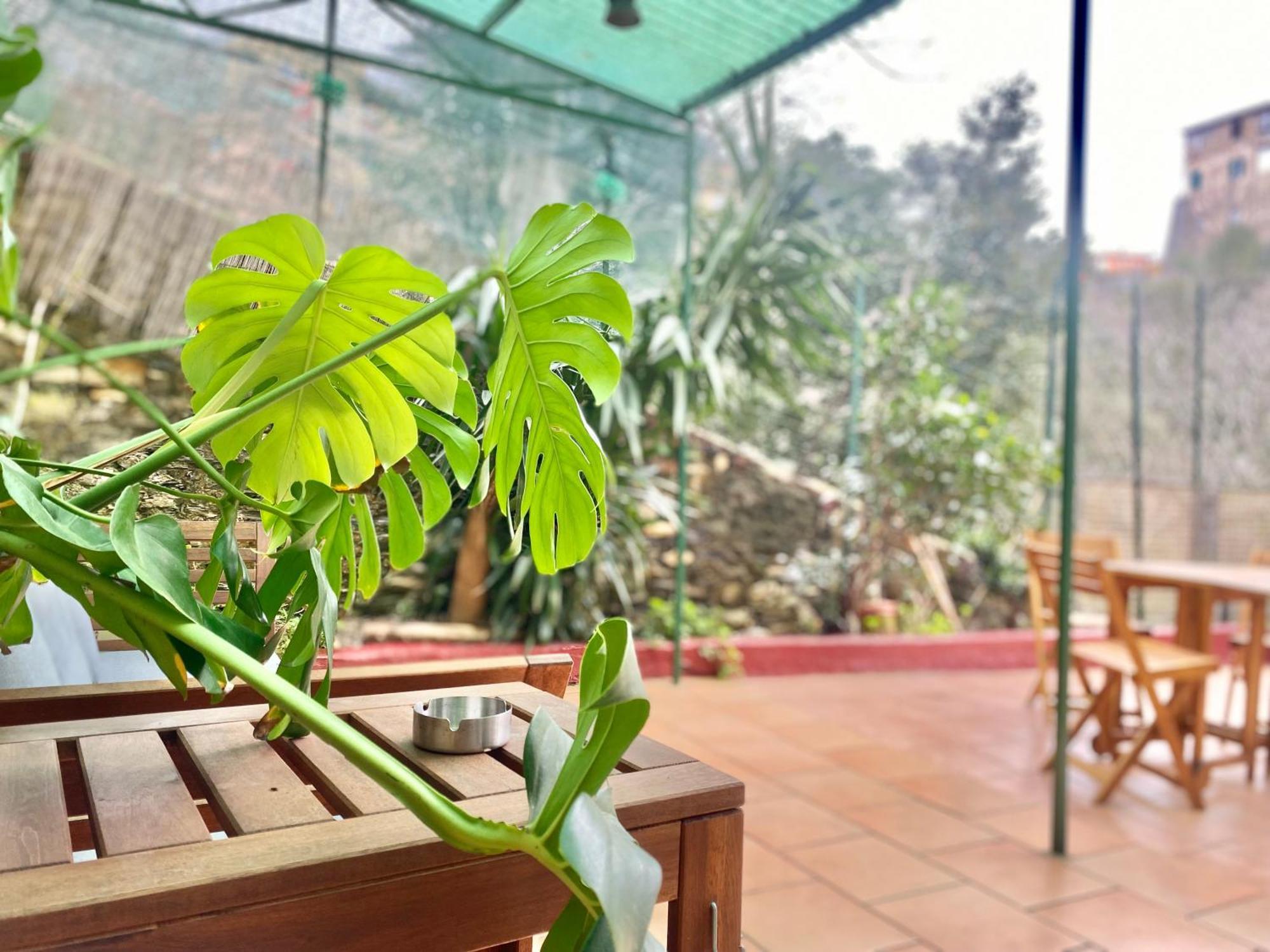 דירות Casaviva - Bilo With Patio In Genova San Teodoro מראה חיצוני תמונה